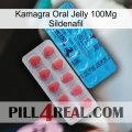 Kamagra Oral Jelly 100Mg Sildenafil new14